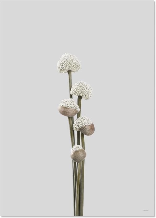 Unfold 1 (70 x 100 cm)