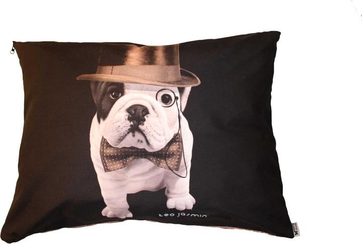 Produktbild Teo Jasmin Dandy (Hund)