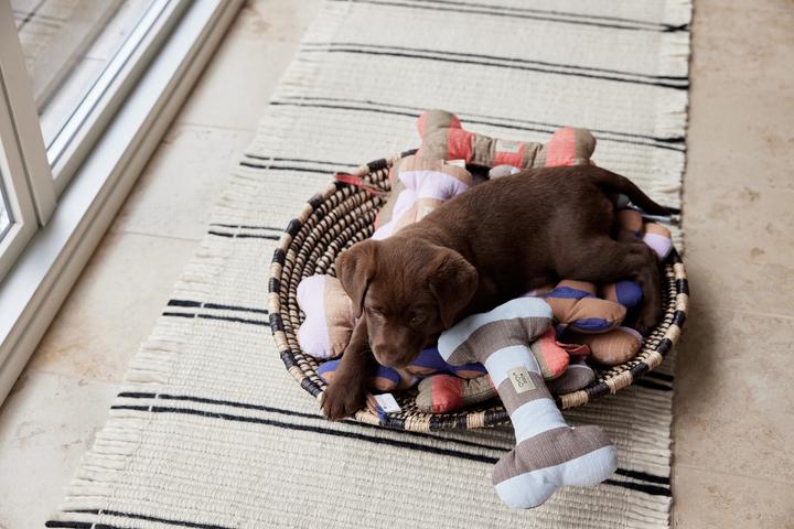 Immagine prodotto OYOY Zoo ZOO - Giocattolo per cani Ashi grande - Blu scuro/marrone (Z60071) (Cane di peluche)