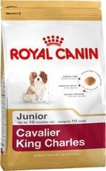 Produktbild Royal Canin Junior Cavalier Charles (Junior, 1 Stk., 1500 g)