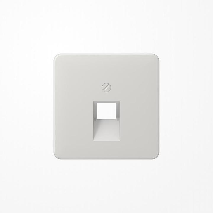 Actual product image JUNG Insert UAE/IAE 1f CD lgr glz Schraubbef CD569-1UALG