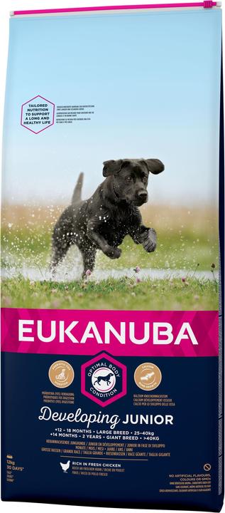 Actual product image Eukanuba Developing Junior (Junior, 1 pcs., 12000 g)