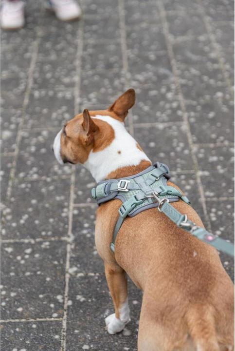 Image du produit Trixie Premium FlexMesh harness, wide fit,M:58–80cm/20mm,sage (M, Chien, Sport canin)