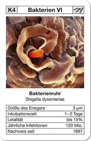 Produktbild Quartett Seuchen II (Deutsch)