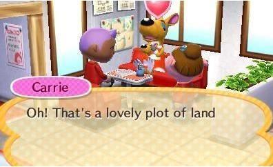 Actual product image Nintendo Animal Crossing amiibo cards (Wii U, 3DS, 3DS XL)