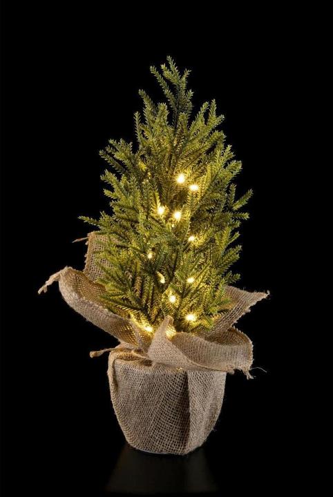 Produktbild STT Nordic Tree