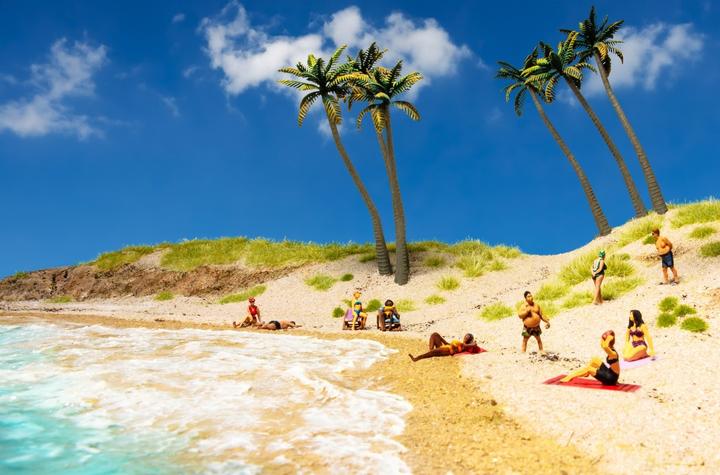 Immagine prodotto Woodland Scenics H0 Abbronzatura solare