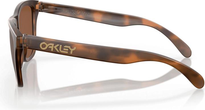 Image du produit Oakley Frogskins Prizm