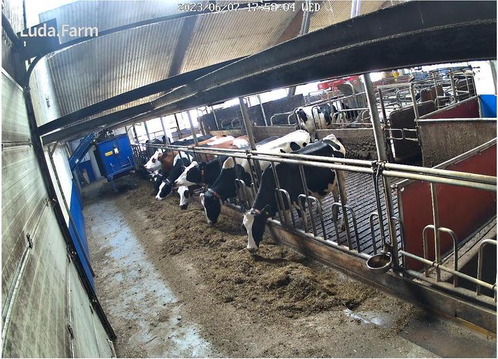 Image du produit LudaFarm FarmCam Flex 5MP (2560 x 1920 pixels)