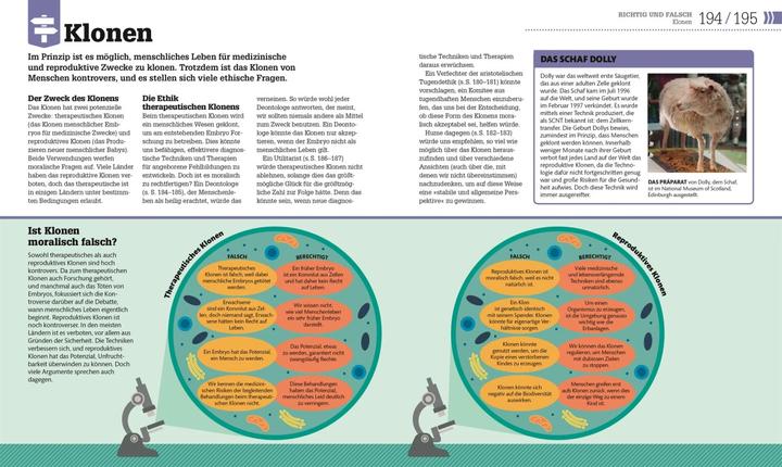 Actual product image #dkinfografik. Philosophie im Alltag (German, Marianne Talbot, 2020)