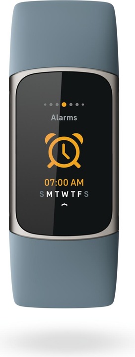 Produktbild Fitbit Charge 5 (26 mm)