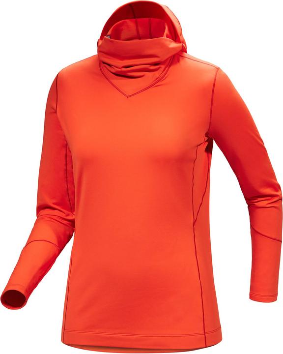 Arc'teryx Rho Hoodie (M)