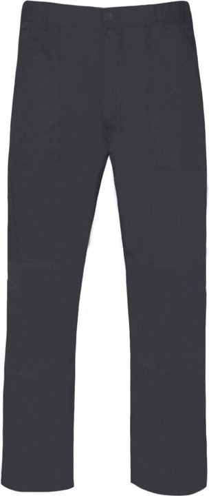 Image du produit Regatta Pantalon New Action longueur de jambe standard (W44)