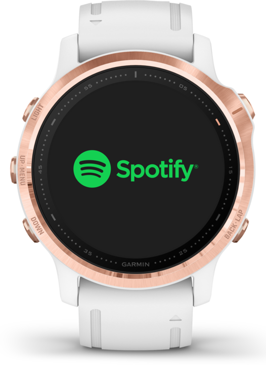 Produktbild Garmin fenix 6S Pro (42 mm)
