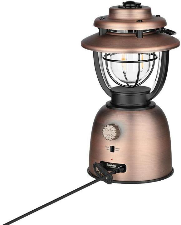 Image du produit Olight Olantern Stretch Marron