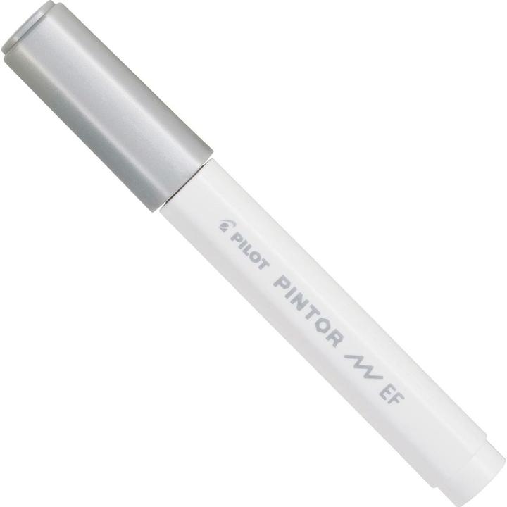 Actual product image Pilot Pintor Extra Fine