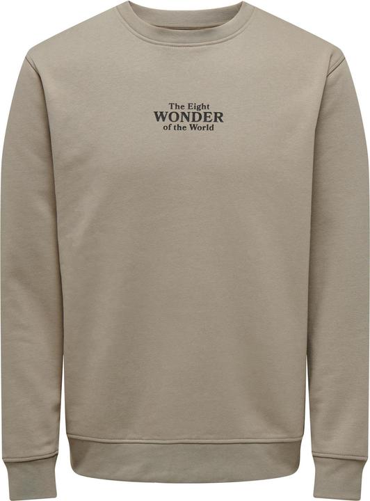 Immagine prodotto Only & Sons ONSCELEBRITY REG CREW NECK SWT - 562138 (S)