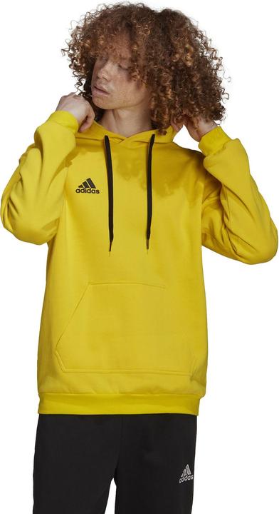 Actual product image adidas Entrada 22 hoodie men (XS)