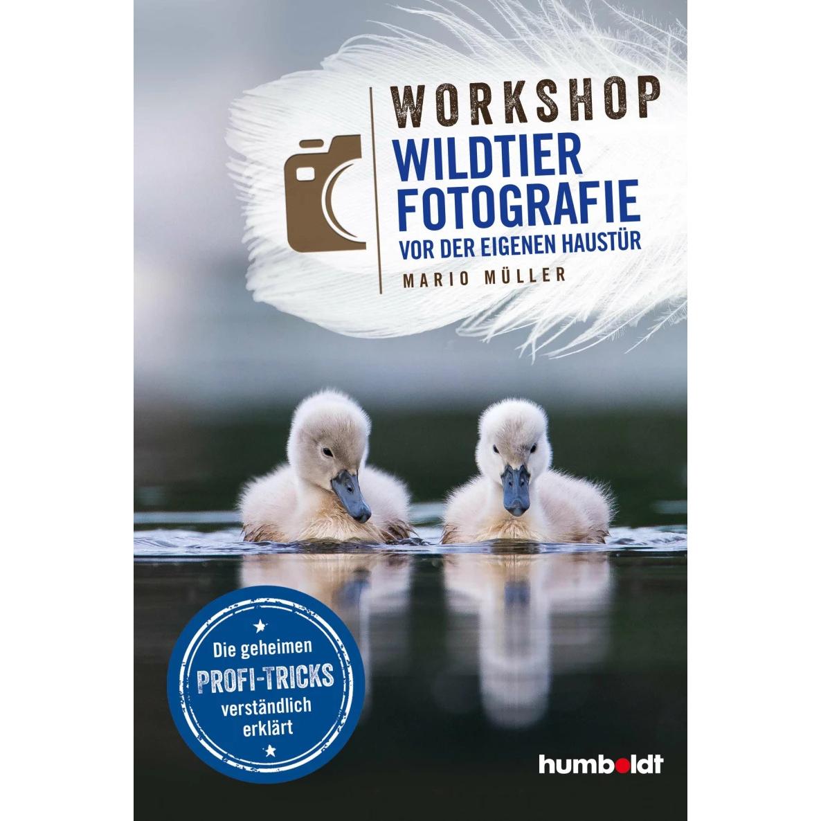 Workshop Wildtierfotografie vor der eigenen Haustür, Ratgeber von Mario Müller