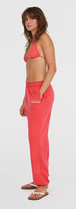Actual product image O'Neill The Future Surf Society Sweatpants (S)