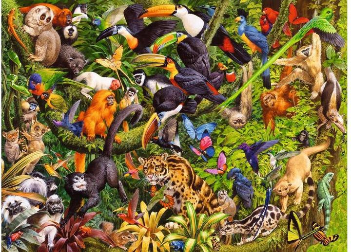 Image du produit Ravensburger La jungle colorée (200 pièces)