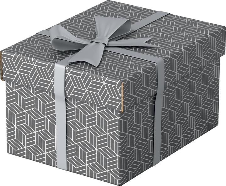 Leitz Esselte Home S