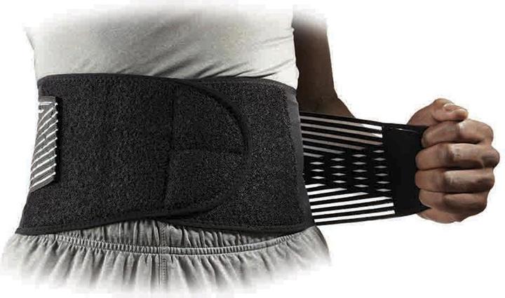 Actual product image McDavid Back Support, Universal (L)