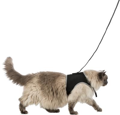 Immagine prodotto Trixie Vita più sicura (XL, Gatto, Generale)