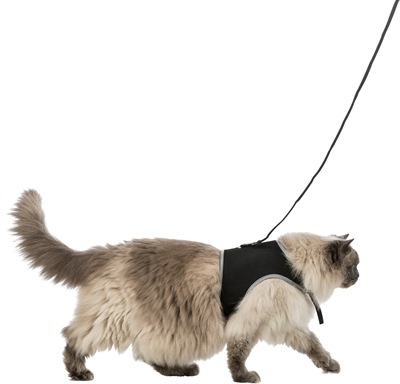 Actual product image Trixie Safer Life (XL, Cat, General)