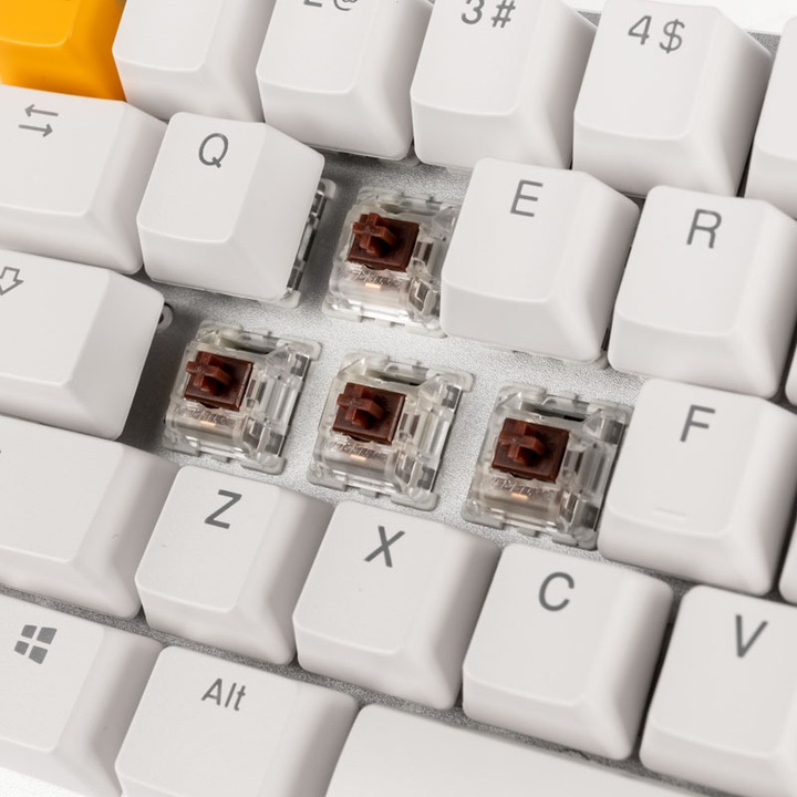 Produktbild Glorious PC Gaming Race White Ice (US, Kabelgebunden)