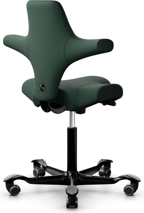 Actual product image HAG Capisco 8106 Select