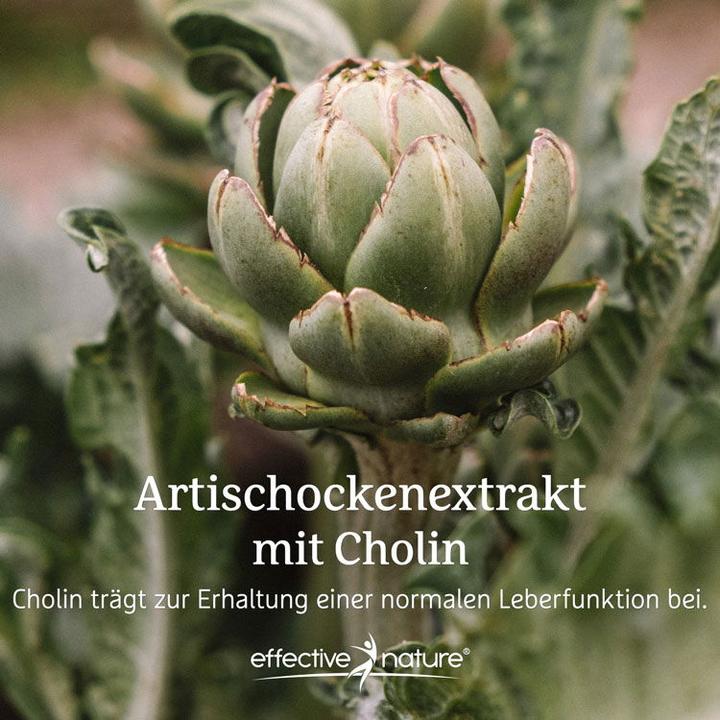 Actual product image Effective Nature Artichoke extract with choline (90 Piece, Capsules, 90 g)