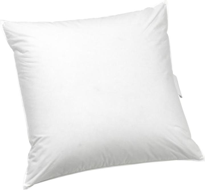 Actual product image Dauny Capa Nature (65 x 65 cm)