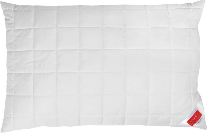 Immagine prodotto Hefel Pino cembro (1360 g, 160 x 210 cm)