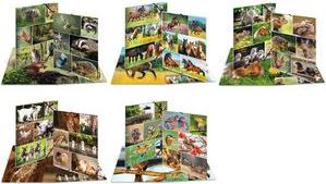 Produktbild HERMA Sammelmappe A3 Motiv (A3, 1x)