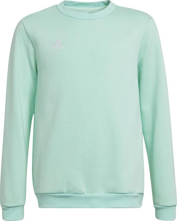 Immagine prodotto adidas Entrada 22 felpa bambini (116)