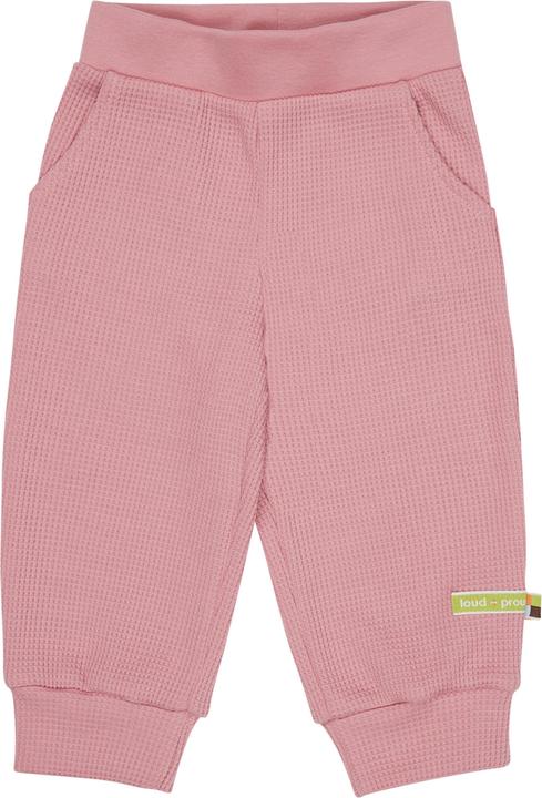 Sorbet