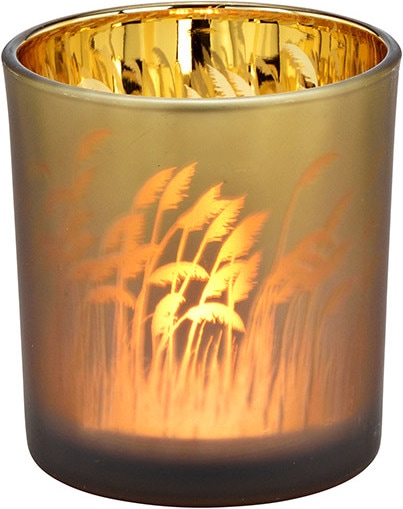 G. Wurm Windlicht Pampasgras 8 cm, Goldbraun (1 x, 8 x 8 x 9 cm)