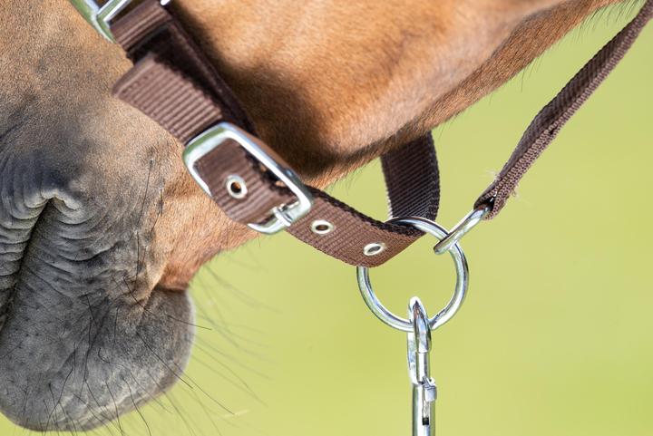 Produktbild HFI Master First