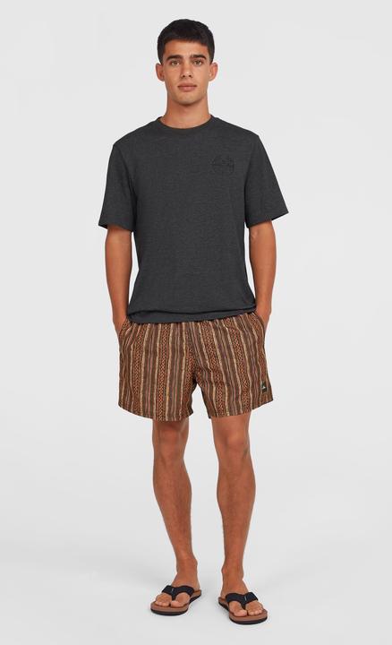 Immagine prodotto O'Neill Cali Print 15" Swimshorts (L)