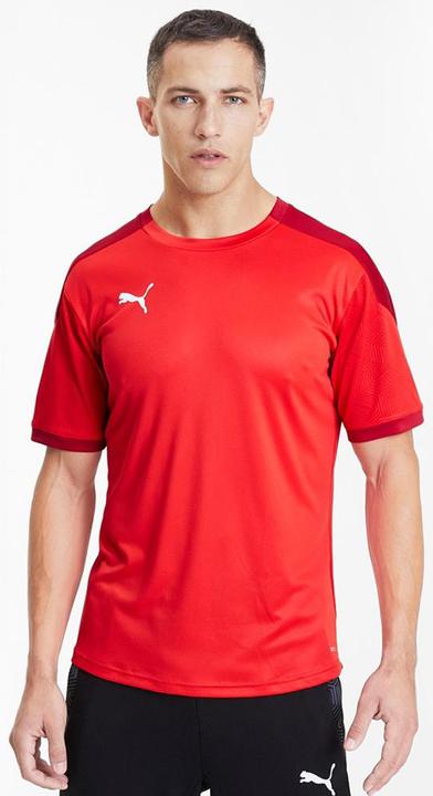 Actual product image Puma teamFINAL 21 Training Jersey-656481 (XL)