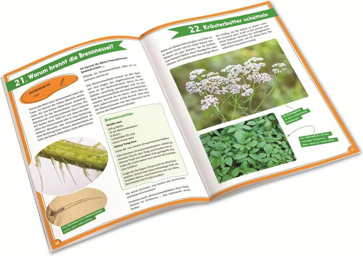 Actual product image Geolino - Discover and explore nature