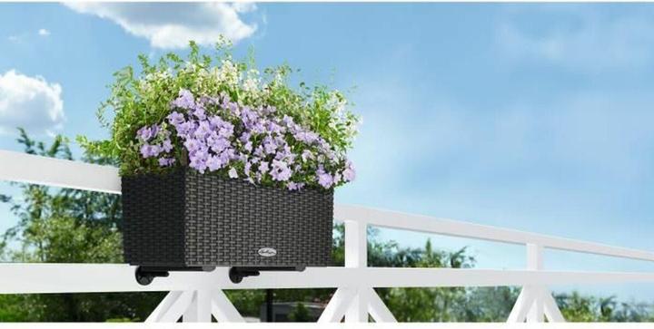 Immagine prodotto Lechuza Balconera Cottage (19 cm)