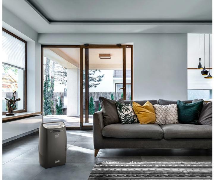 Immagine prodotto De'Longhi DEXD 216RF (30 m², 16 l/24h)