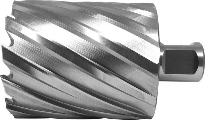 Actual product image Paulimot HSS-Kernbohrer mit Bohrtiefe 55 mm, Ø 55 mm (55 millimetres)