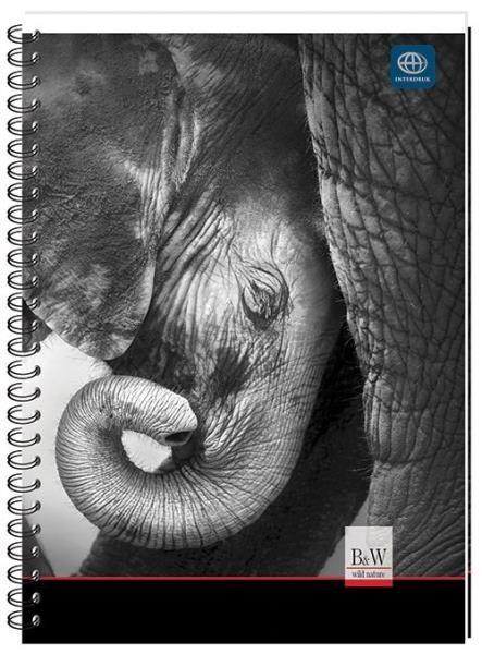 Actual product image Interdruk Flower Core A5 notebook /Stationery (A5)