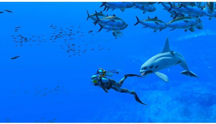 Produktbild Nintendo Endless Ocean Luminous (Switch, DE, FR, IT)