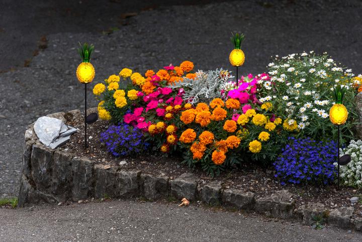 Productafbeelding Näve LED Solar Earth Spie Ananas oranje 81cm (IP44)