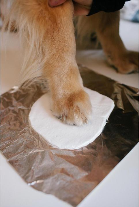 Image du produit Pearhead Cadre de table (10 x 15 cm)