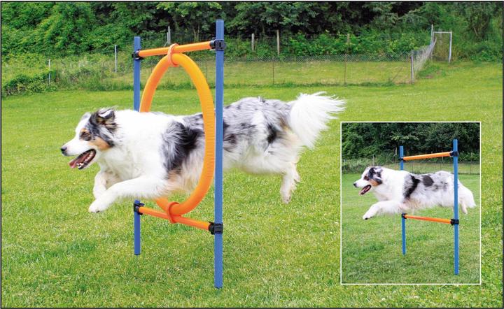 Swisspet Anello di salto (Taglia unica, Destrezza)